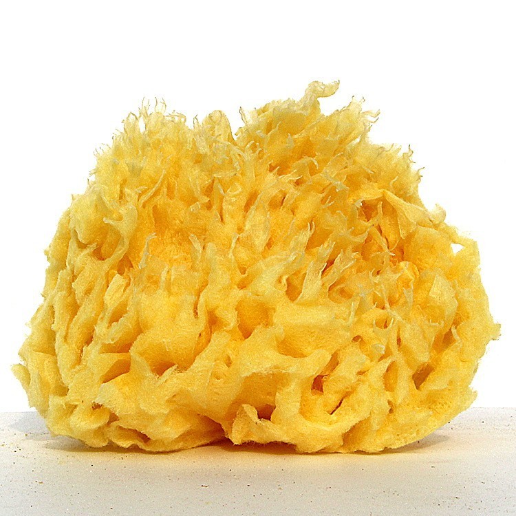 Wie kann der griechische Naturschwamm Ihr Badeerlebnis verbessern?